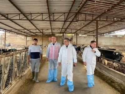 Şap hastalığına karşı 565 bin 687 doz aşı uygulandı