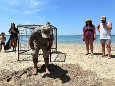Yılın ilk Caretta Caretta yuvası tespit edildi