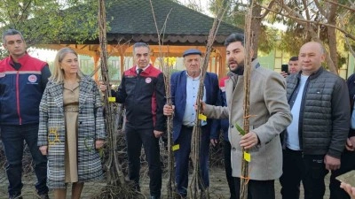 Aydın dağları sağlıklı kestane ağa&ccedil;larıyla donatılıyor