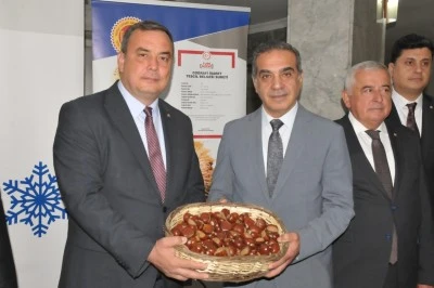 Aydın Kestanesi 2025 Sezonuna 550 TL’den “Altın Gibi” Başladı!