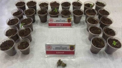 Bagajdan bardak bardak kenevir çıktı: Uyuşturucuyla yakalanan şüpheli tutuklandı