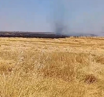 Bağlar&rsquo;da Anız Yangını: Ekipler Alevlere M&uuml;dahale Ediyor