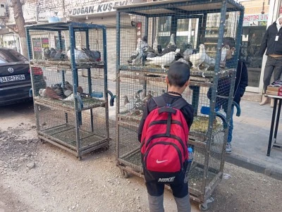 Bağlar&rsquo;daki &ldquo;Kuş Sokağı&rdquo; Yerli ve Yabancı Turistlerin İlgi Odağı Oluyor