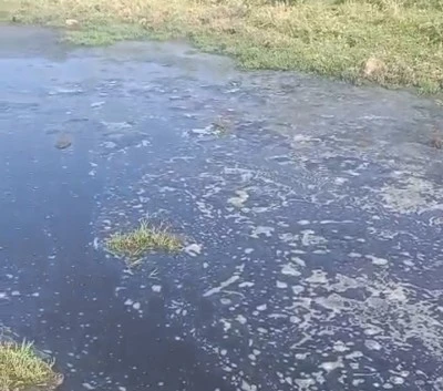 Bağlar Övündüler Mahallesi’nde Biyogaz Tesisi Endişesi