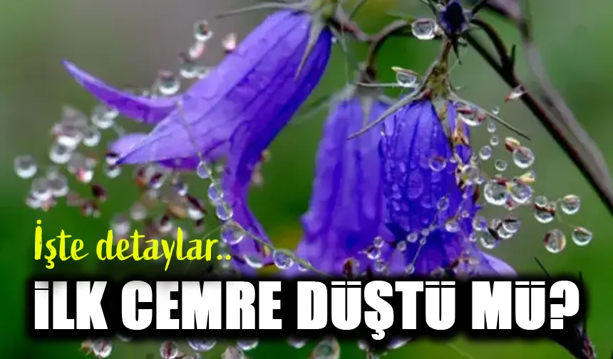 Baharın Ayak Sesleri Yaklaşıyor