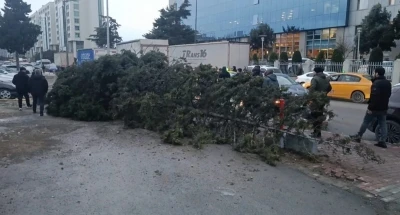 Bah&ccedil;elievler&rsquo;de şiddetli r&uuml;zgar nedeniyle ağa&ccedil; devrildi: 1 kişi altında kaldı