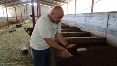 Solucan g&uuml;bresi gelir kaynağı oldu