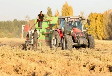 Bakan Yumaklı Bitlis’te Kuru Fasulye Hasadına Katıldı