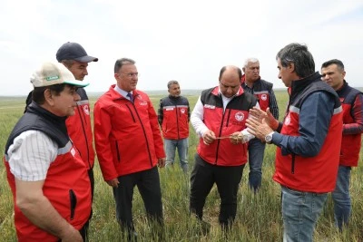 Bakanlık yetkilileri Diyarbakır’da: Hububat tarlaları yerinde incelendi