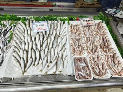 Balık Tezgahları Şenlendi:  Hamsi, İstavrit ve Sardalya’ya Yoğun İlgi Gördü