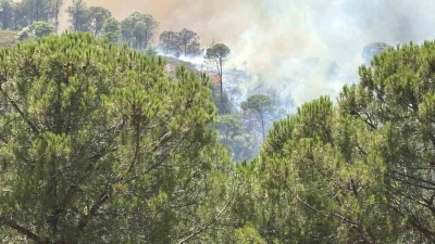 Balıkesir&rsquo;deki yangın tekrar yayılıyor
