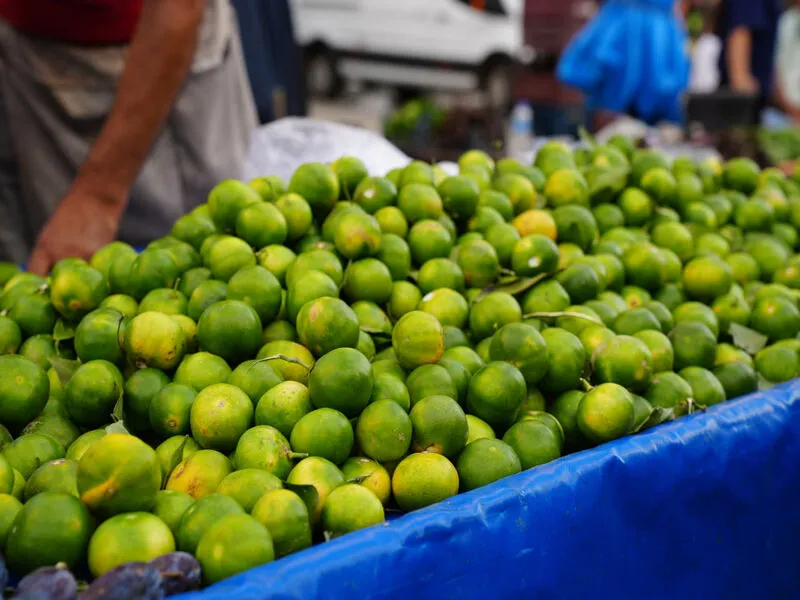 Diyarbakır’da Mandalina Sezonu Başladı: Soğuyan Hava, Talebi Arttırdı