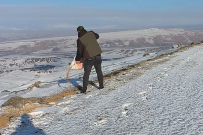Batman&rsquo;da Kar ve Dondurucu Soğuklara Karşı Yaban Hayvanlarına Yem Desteği