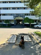 Batman’da mobilya içinde 13 kilo uyuşturucu ele geçirildi: 3 tutuklama