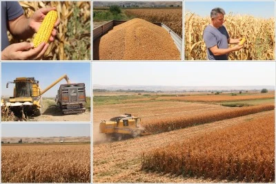 Batmanda Hasadı Başladı