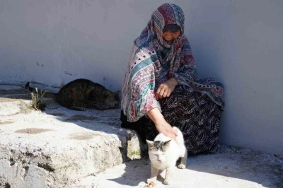 Bayburt&rsquo;ta senelerdir sahipsiz hayvanları besleyen kadın, 10 yıldır baktığı sokak kedisini kaybetti: "İki g&uuml;n ağladım"