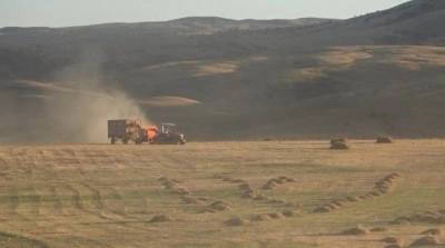 Köyde 194 balya ot çalındı