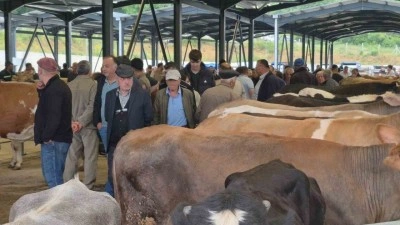 Bayrama sayılı günler kala kurban pazarları hareketlendi