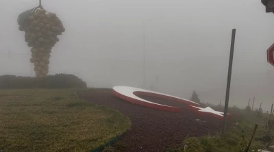 Besni&rsquo;de yoğun sis hayatı olumsuz etkiledi