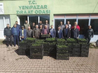 Bilecik&rsquo;te 8 bin &ccedil;ilek fidesi &uuml;reticiyle buluştu
