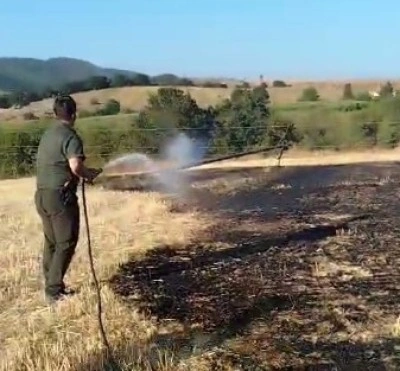 Bilecik’te çıkan yangın kontrol altında