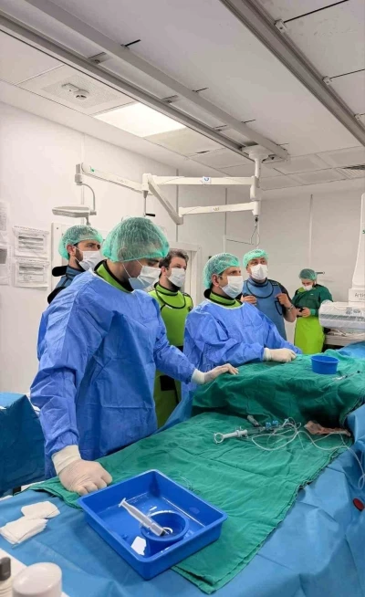 Bilecik&rsquo;te kalpteki doğuştan delik ameliyatsız kapatıldı