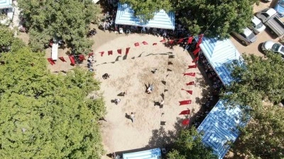 Gelenekleri yaşatmak için kıyasıya güreştiler