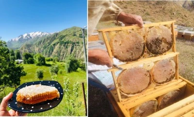 Bing&ouml;l Balı &Uuml;reticileri Yaylalara D&ouml;n&uuml;ş Yolunda