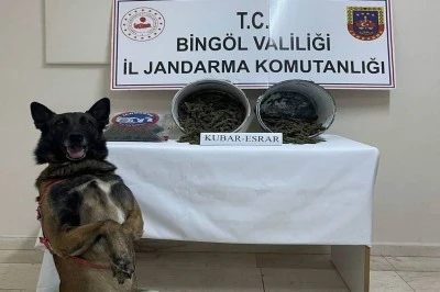 Bingöl'de  2 Kilo Uyuşturucu Ele Geçirildi, 1 Tutuklama