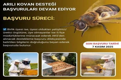 Bingöl'de Arıcılara Kovan Desteği Fırsatı! Son Başvuru!