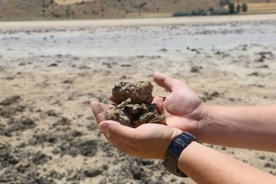 Bingöl Gölü Kurudu Göçmen Kuşlar Yurtsuz Kaldı