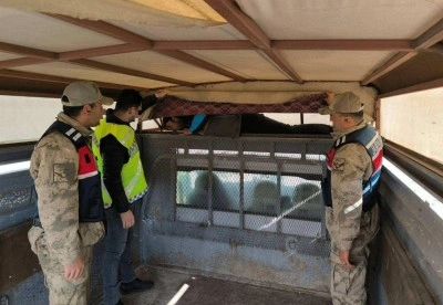 Bir ay i&ccedil;inde 28 d&uuml;zensiz g&ouml;&ccedil;men yakalandı