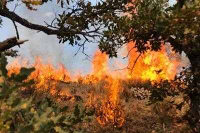 Bir orman yangını Antalya'dan