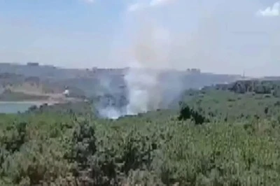 Bir orman yangını daha 