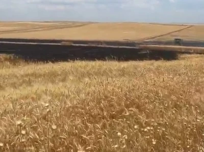 Bismil&rsquo;de Hasat &Ouml;ncesi B&uuml;y&uuml;k Kayıp