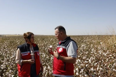 Bismil'de Pamuk Hasadı Başladı