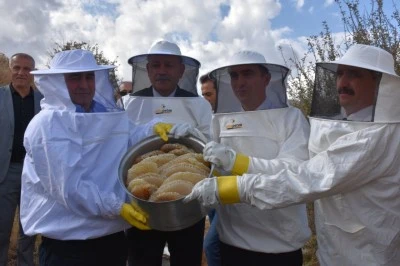 Bitlis’in Karakovan Balı Hasadı Başladı