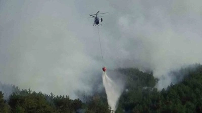 Orman yangını kısmen kontrol altında