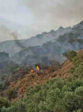 Bozdoğan&rsquo;da orman yangını
