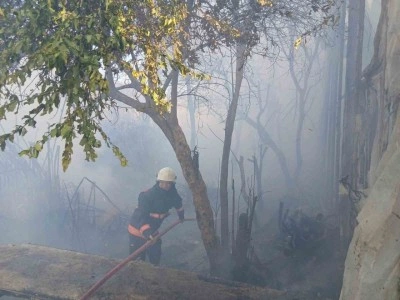 Bozyazı&rsquo;da &ccedil;ıkan yangın seralara zarar verdi