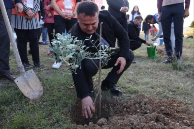 BŞE&Uuml;&rsquo;de zeytin fidanları toprakla buluştu