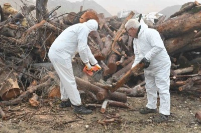 Budanan ağa&ccedil; dalları ihtiya&ccedil; sahiplerini ısıtıyor