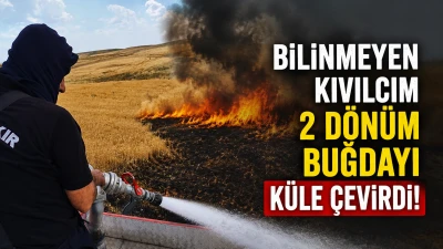 Buğday Tarlasında &Ccedil;ıkan Yangın Ekili Alanı K&uuml;l Etti