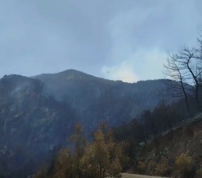 Buldan dağlarının yeşil örtüsü siyaha büründü