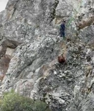 Burdur&rsquo;da mahsur kalan ke&ccedil;iler ekipler tarafından kurtarıldı