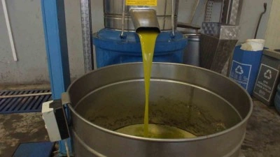 Burhaniye&rsquo;de zeytinde rekolte d&uuml;ş&uuml;k, ancak yağda kalite y&uuml;ksek