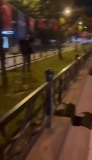 Bursa’da Türk bayrağını yakmaya çalışan şahıs yakalandı