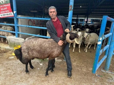 Bursa&rsquo;daki kurbanlık pazarında hareketlilik