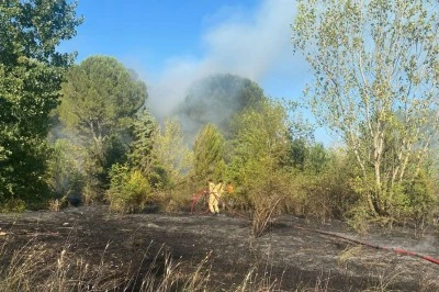 Bursa'daki orman yangınlarında 9 gözaltı
