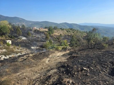 Bursa Orhaneli'de Piknik Ateşi Orman Yangınına Neden Oldu